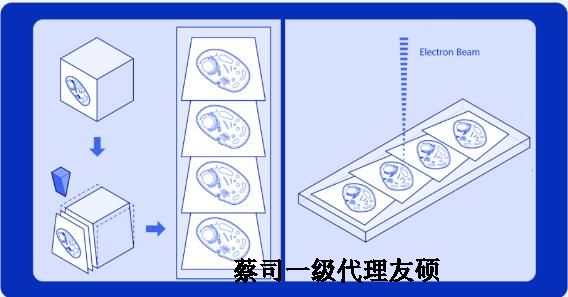 杨浦蔡司杨浦扫描电镜