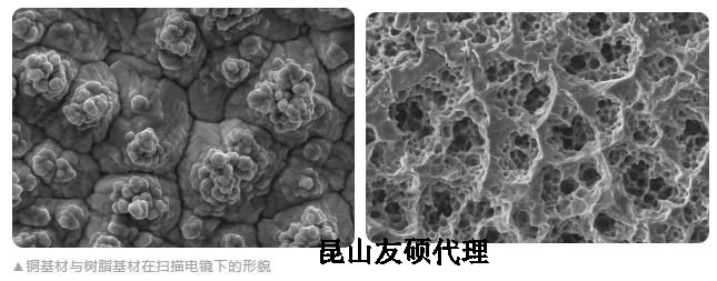 杨浦蔡司杨浦扫描电镜